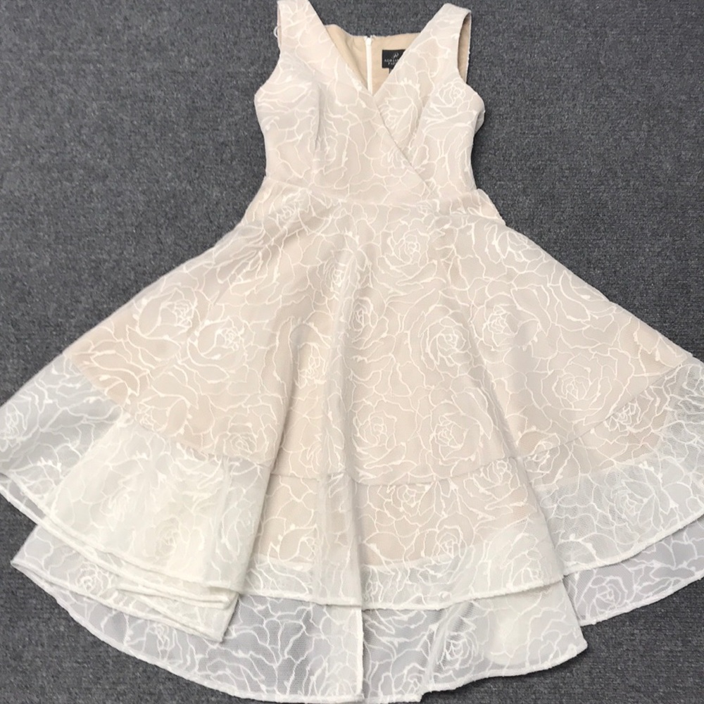 Stunning Adrianna Papell Dress
